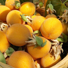 【活动】云南热情果 代发3斤纯甜多汁西番莲新鲜百香果当季水果