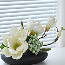 ��A���������g�[���p�ݻ��A��̨�����滨�Ƶ�������b��D�P��