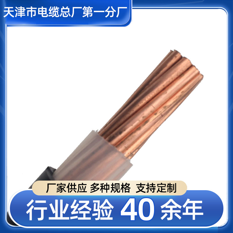 铠装RS485通信电缆 RS485总线RSP485电缆 通信电缆 双绞屏蔽电缆