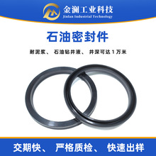 耐高温氟胶FKM密封件氢化丁晴HNBR防尘圈耐酸碱石油防爆密封圈