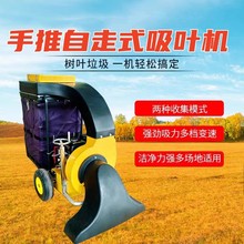 吸树叶的机器 小型吸叶机 环卫树叶收集器 草坪上吸树叶的机器