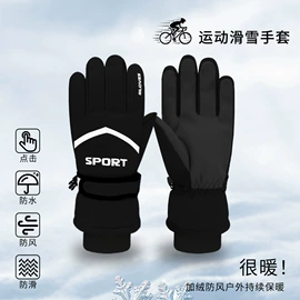 滑雪手套;登山、徒步包;成人手套