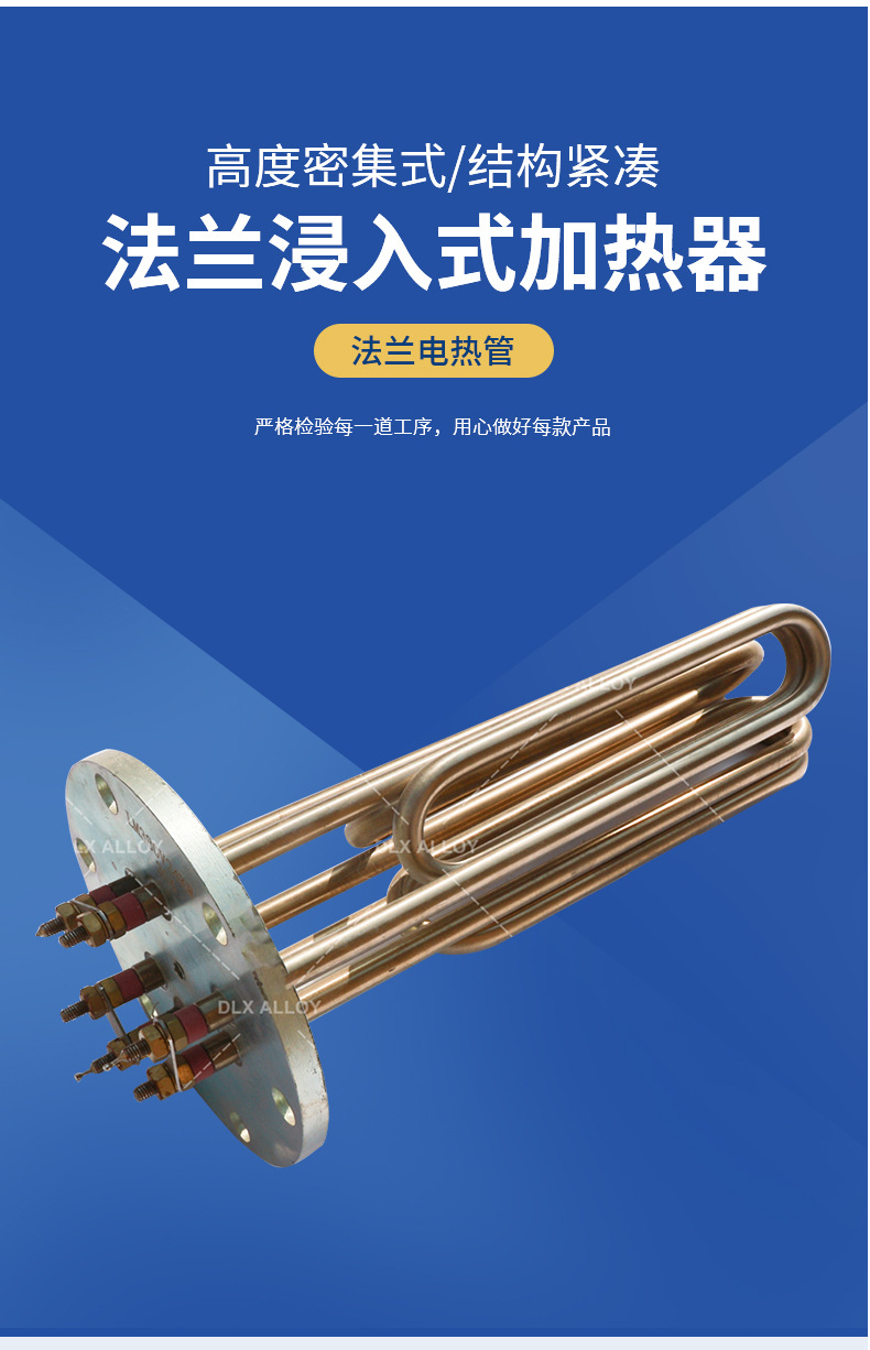 法兰浸入式加热器