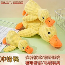 �羳��������ë�q��˯С�S����ҧĥ���l���С����Ȯ�����