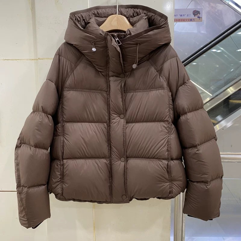 낙타