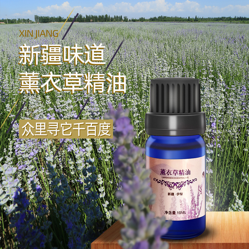 Xinjiang lavender essential oil Xinjiang Yili 65 groups of Origin single essential oil lavender oil Xinjiang lavender essential oil Xinjiang Yili 65 groups of Origin single essential oil lavender oil