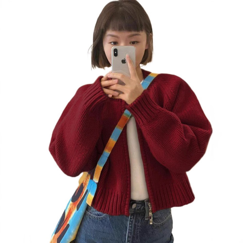 圆领拉链针织开衫女装时尚洋气减龄春秋休闲显瘦感毛衣外套加厚女|undefined