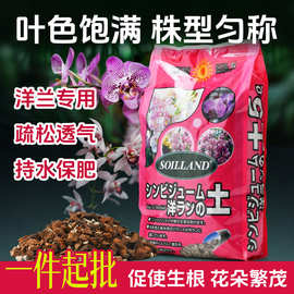洋兰蝴蝶兰花专用营养土阳台庭院盆栽家用花卉颗粒土养花种花植料