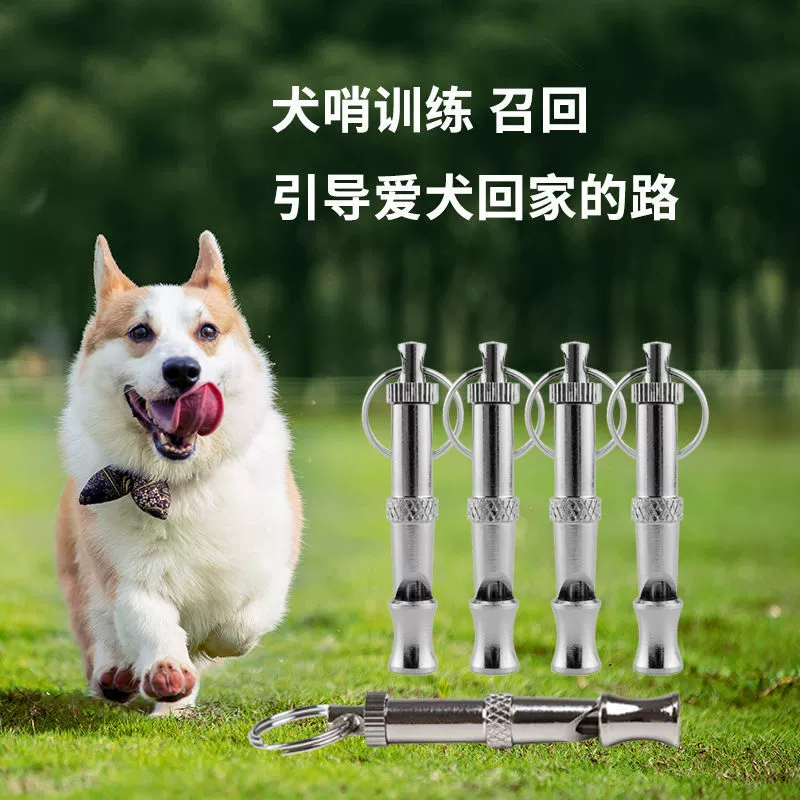 Съемная флейта для домашних животных, ультразвуковой дрессировщик для собак, дрессировка собак, флейта для собак, свисток для дрессировки собак, интерактивная игрушка для домашних животных