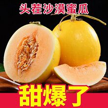 ���C����ɳĮ�S���۹����rˮ�������Ͻ�t��������ܹ����l