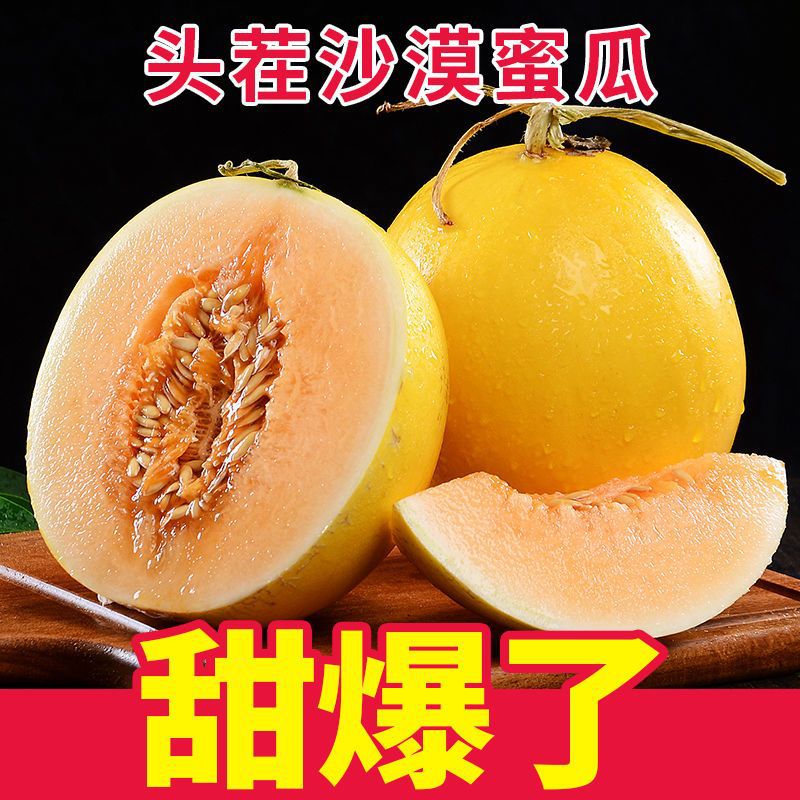 甘肃民勤沙漠黄河蜜瓜新鲜水果甜瓜香瓜金红宝整箱哈密瓜批发