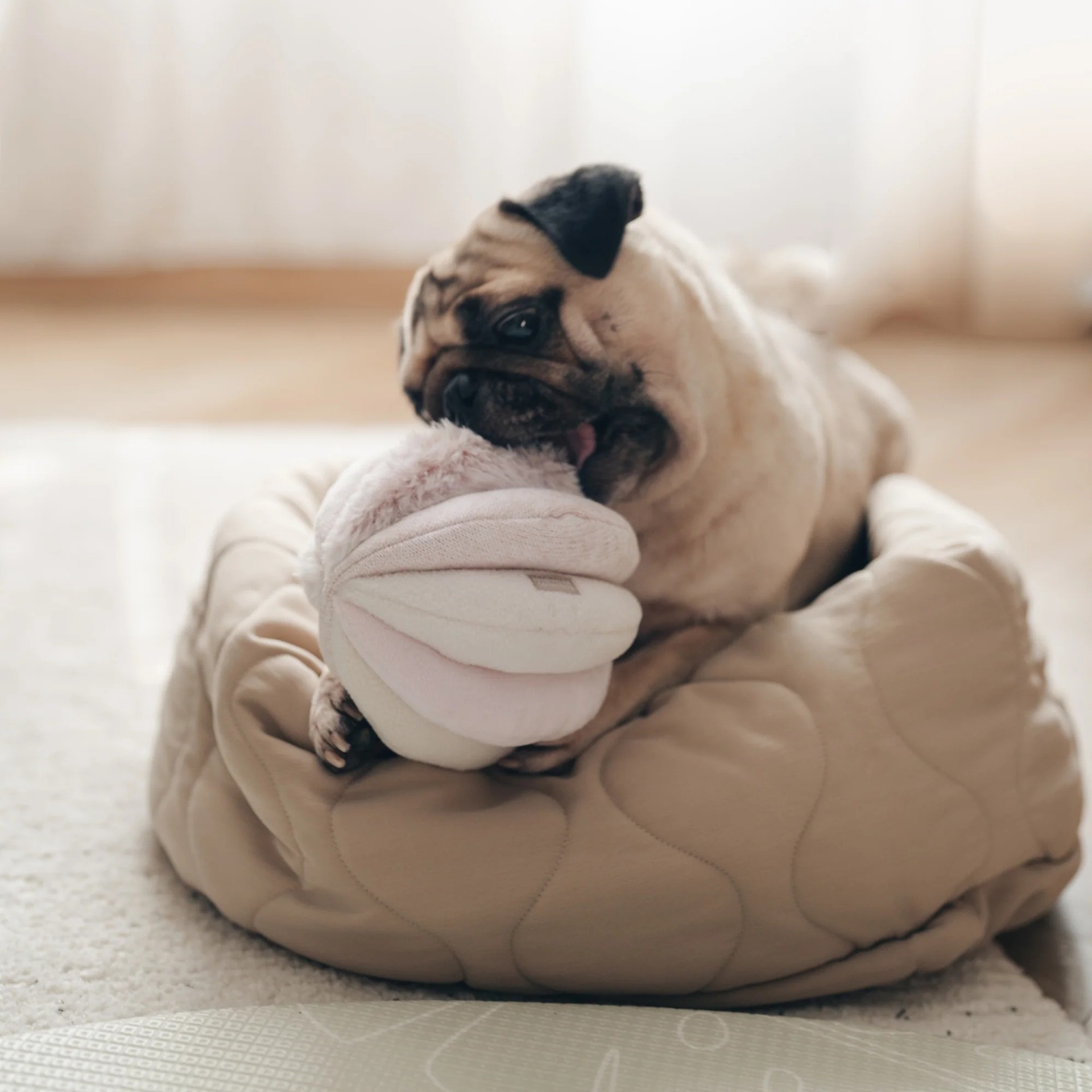 Nuevos productos transfronterizos TOTO chirriantes bolas de respiración de nariz mascotas perros mordidas para aliviar el aburrimiento tibetano juguetes de peluche al por mayor image 4