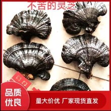 ���`֥��Ʒ��֥Ұ�����`֥Ƭș���ݾ���ˮ�`֥����Ƭ