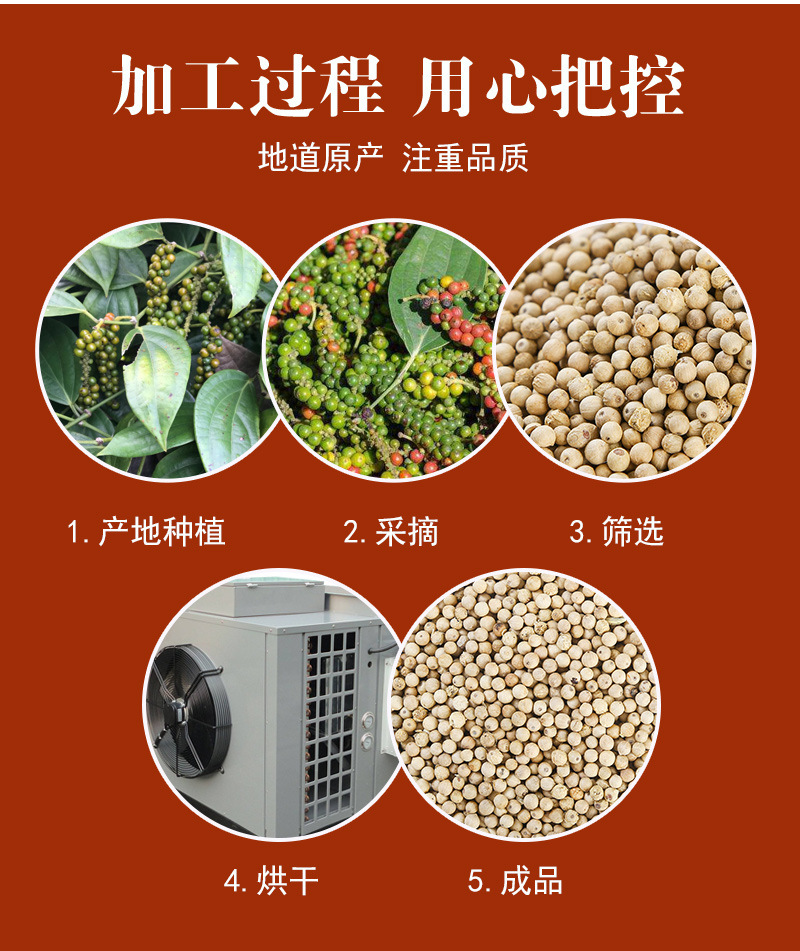 White & Black Peppercorns (Piper nigrum) — 500g Bulk Dried Whole & Ground Pepper preparation