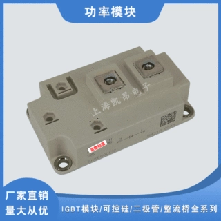 全新现货SKKE81/08 SKKE81/12 SKKE81/16快恢复二极管模块