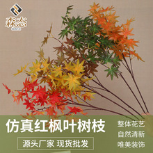 ������~��֦�ٗl����٘��~�b��쾰���ϼt����Ƶ��d�[���ٗl