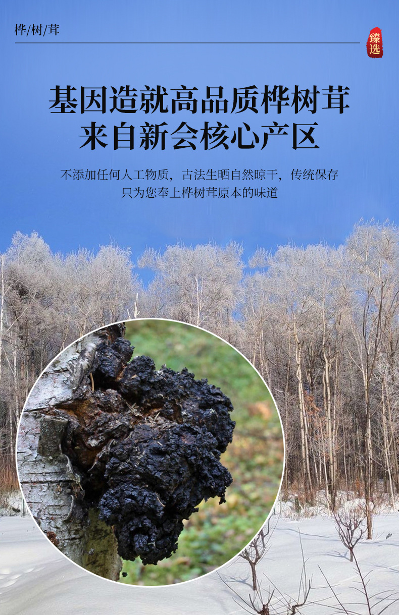 Chaga Mushroom Granules Hua Shu Rong 250g Dried Birch Conk Chunks for Herbal Tea and Decoction key features