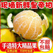 �V�̴���ﮔ�������r�ЋDˮ�����������۽۽�ɰ������