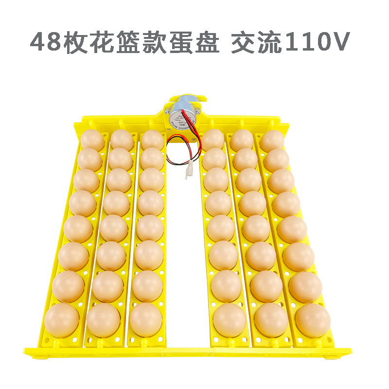 48 Placa de huevo de codorniz de pato de pollo huevo automático torneado pequeño hogar mini incubadora Placa de huevo con motor suministro transfronterizo