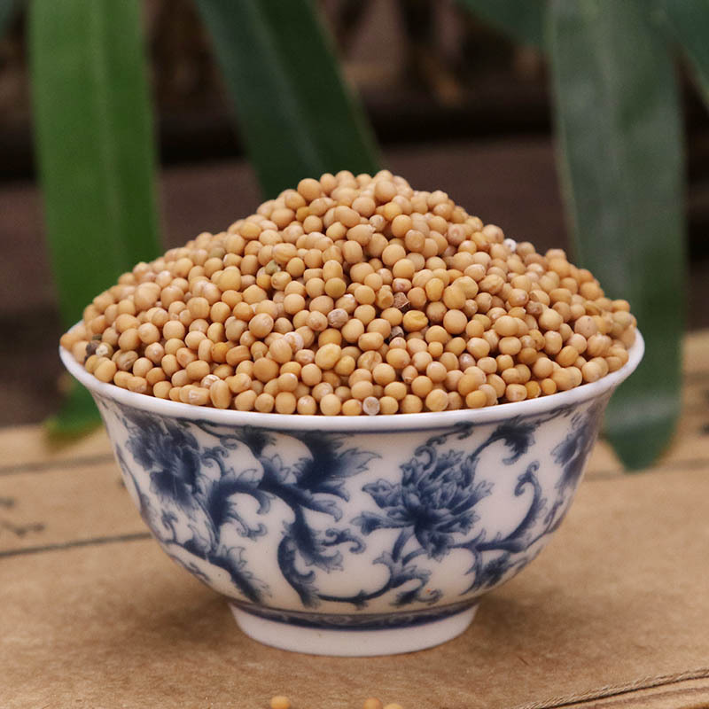 White Mustard Seed Bai Jie Zi 500g Dried Herbal Seeds for Tea Wine Infusion and Decoction Use specifications