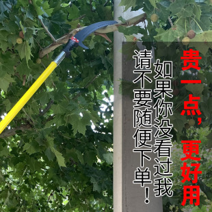 �๦����䏸�֦����Ӹ�֦䏈@�������䏸߿�䏹��仨ľ��֦�