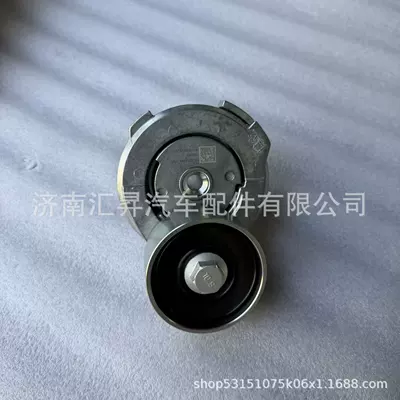Other walking systems tensioning pulley