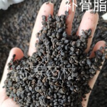 ��ș���a��֬ �����B�� ��ș�����a�B��