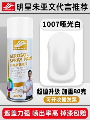 Black White Paint Can | Avtomobil boya qələmləri - haoshun-self-painted-450ml1007-matte-white