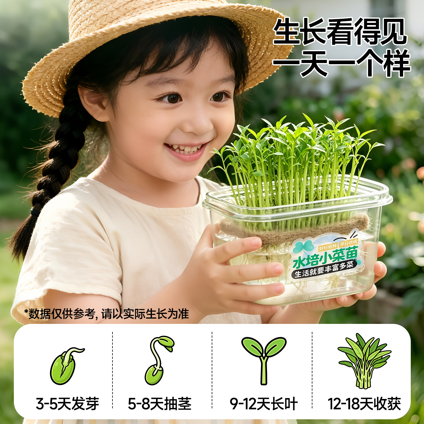水培芽菜儿童学生益智科教玩具蔬果植物绿豆芽四季豆儿童种植盆栽