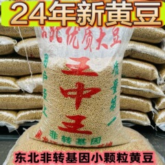 50斤东北黑龙江小黄豆豆浆食品豆50斤批发