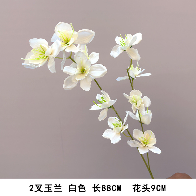 2 forks of magnolia white.