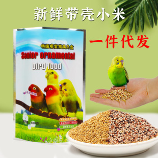 ���S���ӎ���С�׻�Ƥĵ�����P�W�^���B�Z�Bʳ�B���500g1�����l