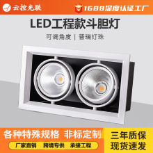 �ɵ��Ƕ�COB��դ����̳�չ���Ƶ�Ƕ��ʽ��˫ͷ�컨��LED������