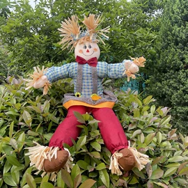 化妆服饰道具;场地布置道具;万圣节摆件