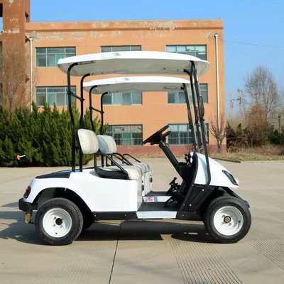 Golf Cart, Elektrikli qolf avtomobilləri