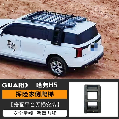 Ladder Explorer Roof Rack | Roof rack - climb-ladder