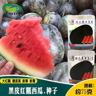 ���ی�2̖��Ƥ������ �r��Ƥ���tȿ���Ǵ�ڰԺ�Ƥ���ϷN��