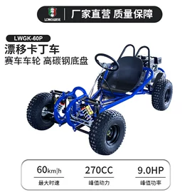 碰碰车卡丁车;沙滩车;其他滑雪用品