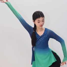 古典舞纱衣练功服女一条大河舞蹈服上衣绝美演出服装飘逸仙气