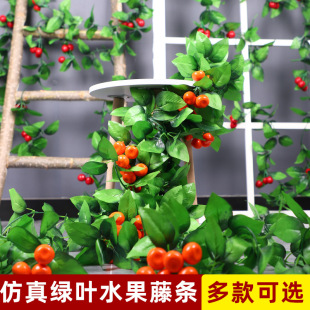 ����ˮ���ٗl�羳�����ٻ���ֲ���̨��픹ܵ��p�@�bپG�����~