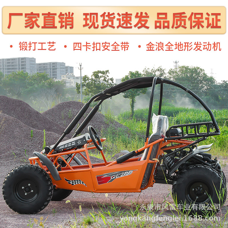 Kart Todoterreno Biplaza UTV 200cc GL01 de Tubo de Acero a Gasolina image 5