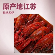 网红饭店商用盱眙龙虾麻辣十三香蒜蓉7-9海鲜小龙虾推荐3斤装