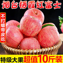 煙台蘋果山東煙台棲霞紅富士脆甜新鮮水果一批發整箱5/10斤丑平果