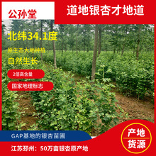 �y����ȡ��ʳƷ���y���Sͪ24����650�f�����؏S��ԭ��ֲ����ȡ