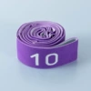 Purple Ten Festival