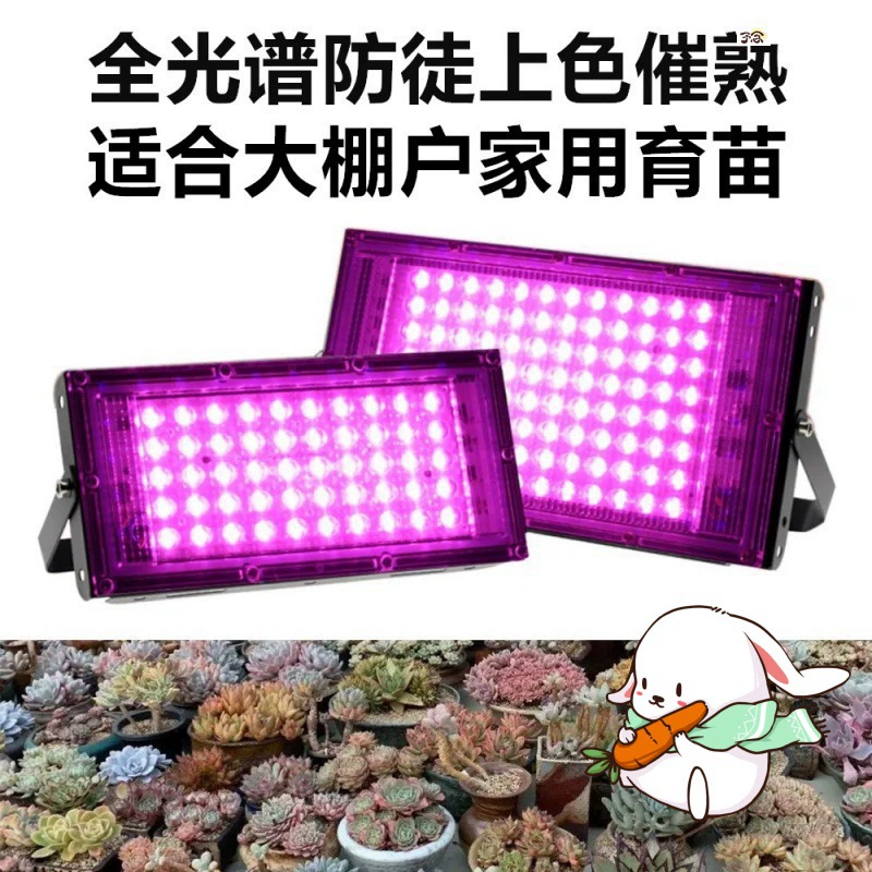 LED fill light, plant lamp solar-powered, comfortable light spectrum