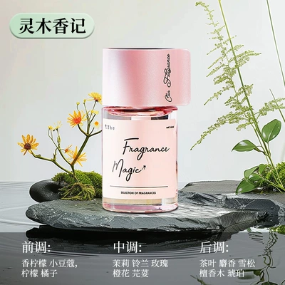 Car Aromatherapy 2026 New Car Perfume Aromatherapy - spiritual-wood-fragrance