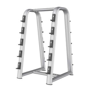 Fixed Barbell Rack for Storing 10 Barbells, Gym Barbell Rack, Dumbbell Rack, Barbell Rack