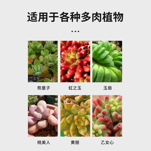 The manufacturer supplies eight old man succulents nutrient solution special fertilizer flower fertilizer succulent plants concentrated for home use