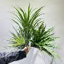 植物家居仿真橱窗绿植